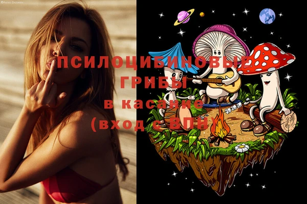 стафф Армянск