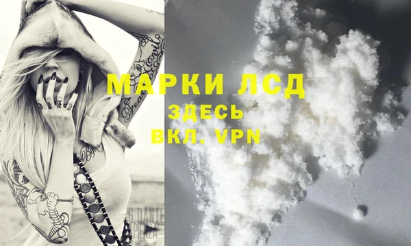 стафф Армянск