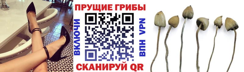 hydra как войти  Ряжск  Галлюциногенные грибы GOLDEN TEACHER 
